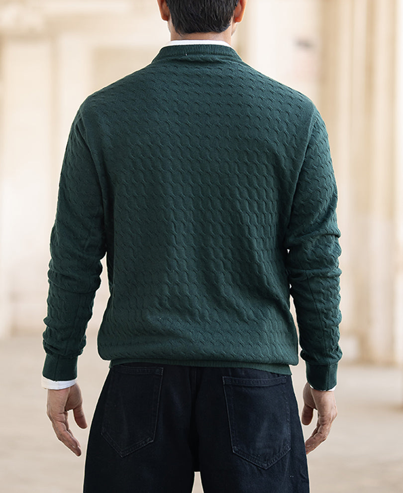 Olive Green Structured Regular Fit Full Sleeves T-Shirt