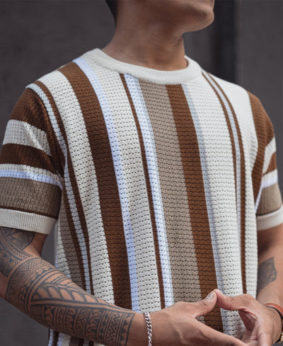 Multicolor Regular Fit Striped Half Sleeves T Shirt