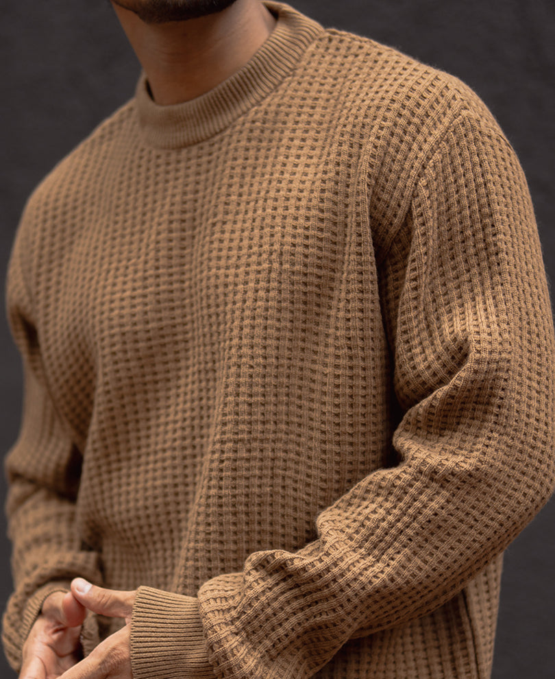 Brown Regular Fit Full Sleeves T-Shirt