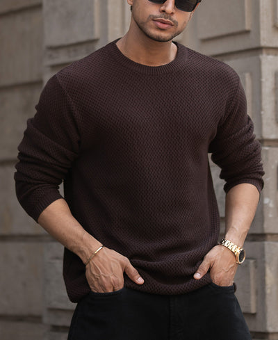 Brown Regular Fit Full Sleeves T-Shirt