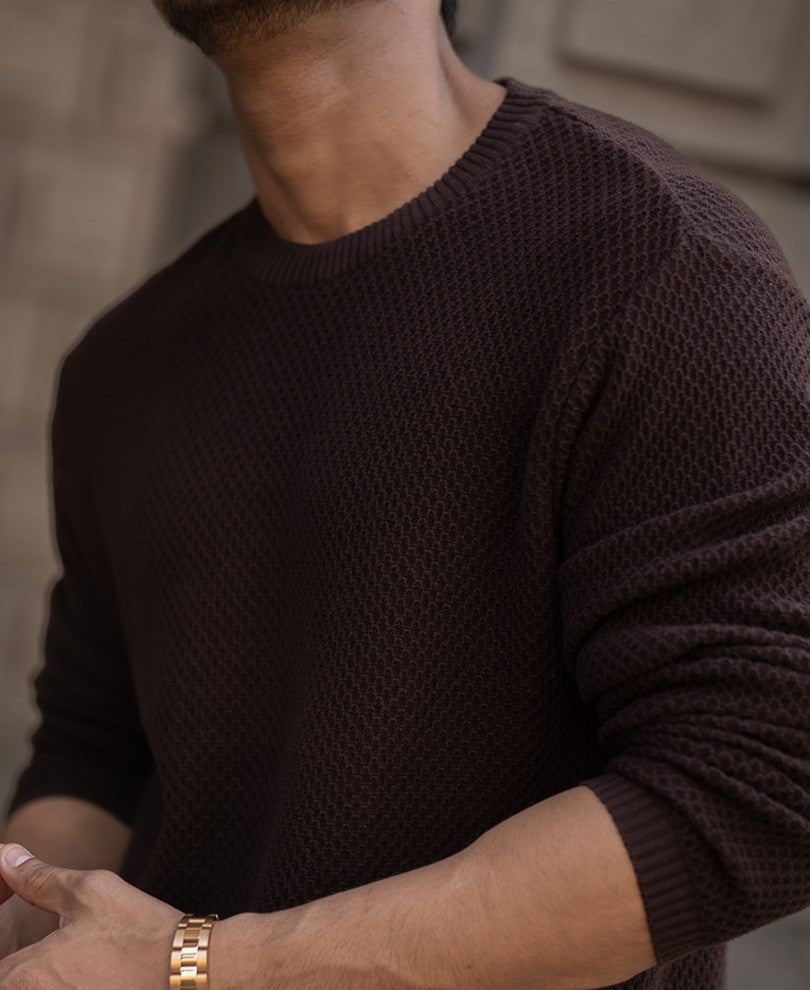 Brown Regular Fit Full Sleeves T-Shirt