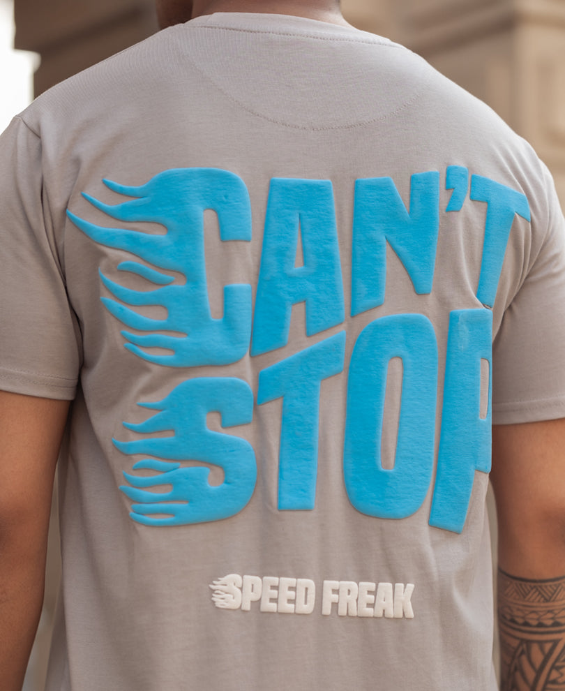 Grey Printed Regular Fit Half Sleeves T-Shirt