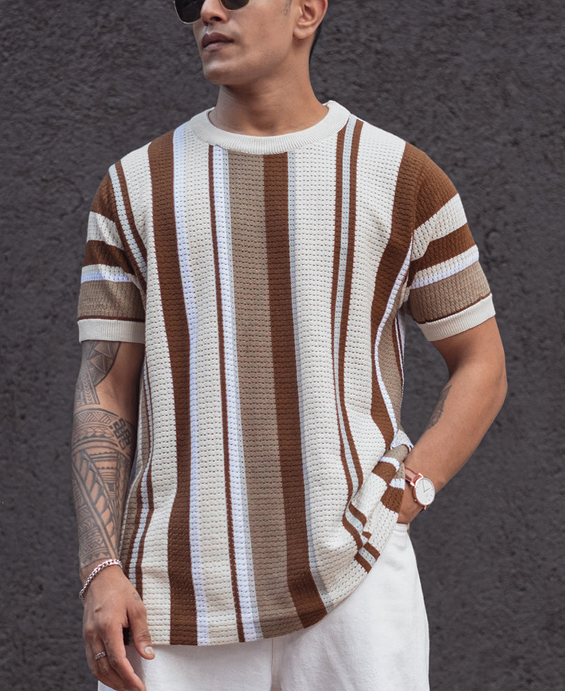 Multicolor Regular Fit Striped Half Sleeves T Shirt